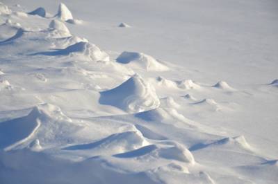 В последнюю неделю января рязанцы чаще всего жаловались на уборку снега