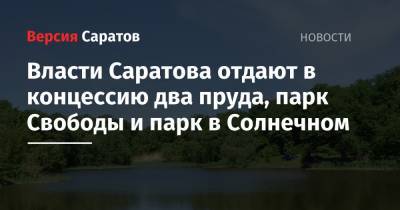 Власти Саратова отдают в концессию два пруда, парк Свободы и парк в Солнечном