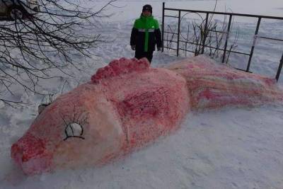 В Рязанской области слепили из снега гигантскую рыбину