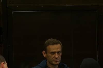 В Мосгорсуде возобновились слушания по делу Алексея Навального