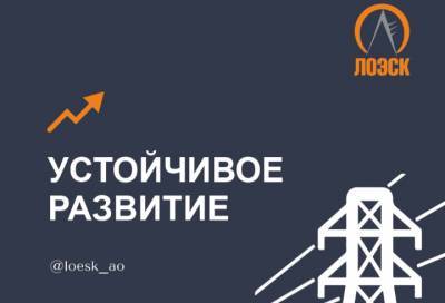 «ЛОЭСК» подключила к электросетям еще более 4 тысяч объектов в Ленобласти
