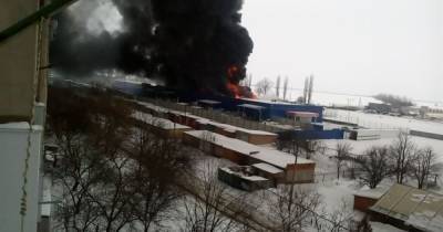 Пожар в "Эпицентре" в Первомайске: одного поджигателя задержали, другого ищет полиция