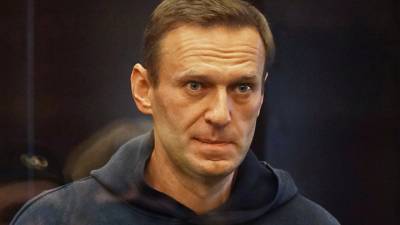 Речь Навального вызвала замечания у судьи