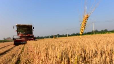Производство сельхозпродукции в Удмуртии выросло на 4,3% в 2020 году