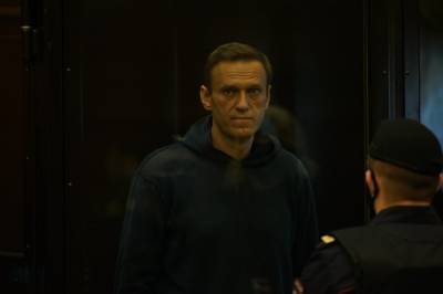 Навальный в суде: у нас будет Владимир Отравитель трусов