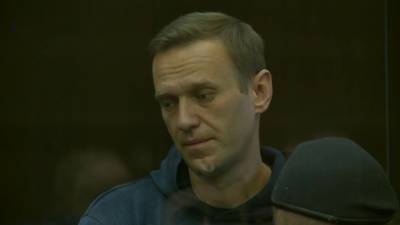 Аплодировал и просил сбегать за фаст-фудом: заседание по Навальному