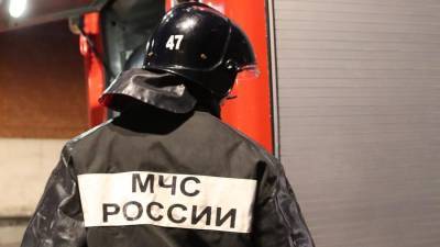Из горящего интерната на северо-востоке Москвы эвакуировали 50 человек