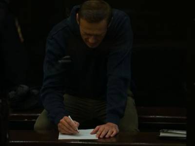 Комиссар СЕ Миятович: Приговор Навальному противоречит международным обязательствам России
