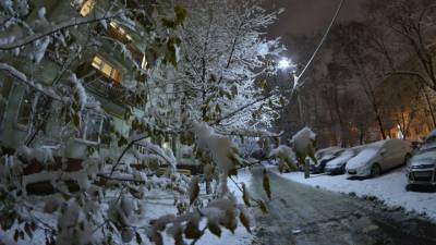 Москвичей предупредили о плохой погоде в ночь на 3 февраля