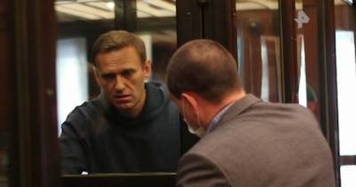 Политолог оценил расследование о вынесшей приговор Навальному судье