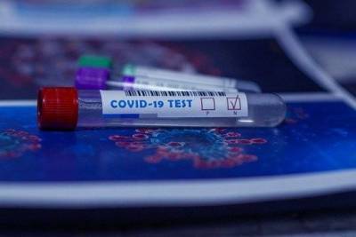 В Европе стали торговать поддельными отрицательными тестами на коронавирус