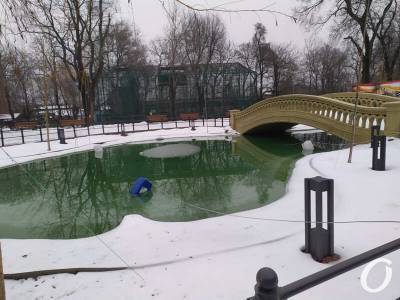 Зима в Одесском зоопарке (фоторепортаж)