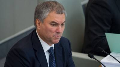 Володин назвал санкции против Медведчука серьезным вызовом для демократии