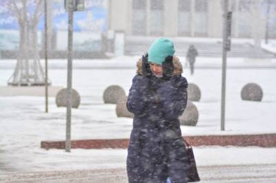 Погода в Хабаровском крае и ЕАО на 20 февраля
