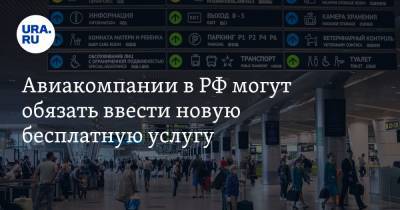 Авиакомпании в РФ могут обязать ввести новую бесплатную услугу