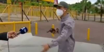В Эквадоре вооруженный грабитель совершил преступление в прямом эфире, видео - ТЕЛЕГРАФ