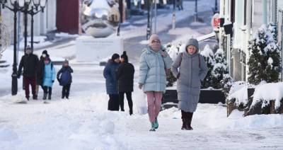 Москвичам пообещали до 17 градусов мороза в субботу