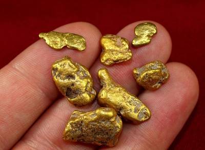 В гараже у жителя Чукотки нашли 6 кг золота на 26 млн рублей