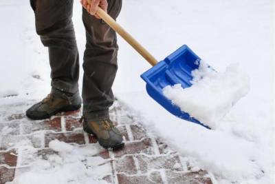 В Москве пресекли нарушение правил уборки снега в ландшафтном заказнике