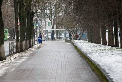 Последняя неделя зимы в Пскове будет мягкой