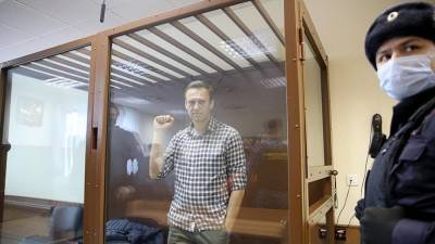 В Москве начался суд по апелляционным жалобам защитника Навального