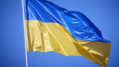 Украине необходимо войти в состав ЕАЭС, когда ее вырвут из "лап смерти"