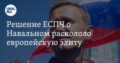 Решение ЕСПЧ о Навальном раскололо европейскую элиту. «Заказ Сороса?»