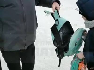 В Челябинской области бездомные собаки набросились на ребенка