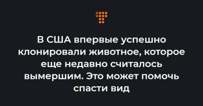 В США впервые успешно клонировали животное, которое еще недавно считалось вымершим. Это может помочь спасти вид