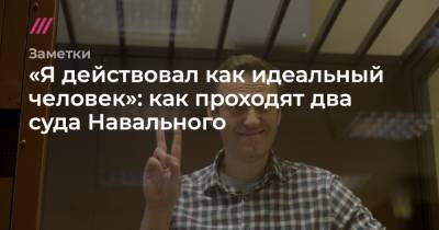 «Я действовал как идеальный человек»: как проходят два суда Навального