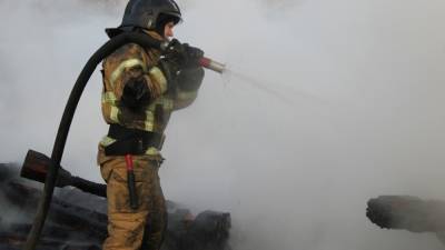 Сотрудники МЧС локализовали возгорание на крыше ТЮЗа в Томске