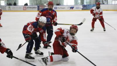 «Надо иметь голову на плечах»: в России осудили хоккейного тренера, обучавшего детей боевым приёмам
