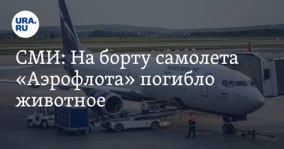 СМИ: На борту самолета «Аэрофлота» погибло животное