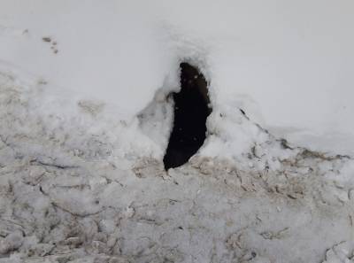 Прокуратура Южно-Сахалинска проводит проверку по факту падения школьника в двухметровую яму