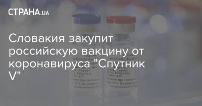 Словакия закупит российскую вакцину от коронавируса "Спутник V"