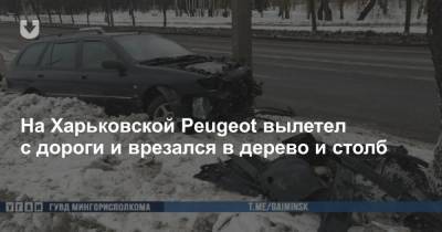 На Харьковской Peugeot вылетел с дороги и врезался в дерево и столб