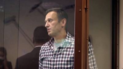 В Бабушкинском суде Москвы идет заседание по делу Алексея Навального о клевете на ветерана Великой Отечественной войны