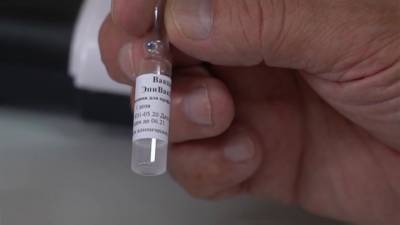 Вакцина "Вектора" дает иммунитет на год