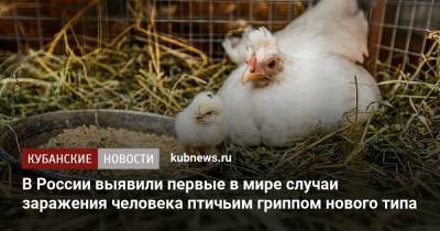 В России выявили первые в мире случаи заражения человека птичьим гриппом нового типа