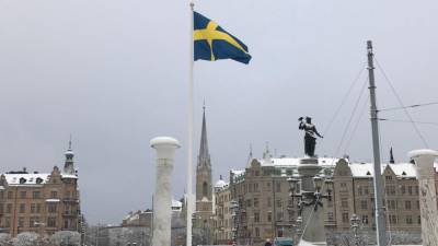 Стокгольм использует "российскую угрозу", чтобы пропиарить свои истребители