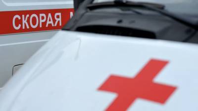 Три человека погибли в ДТП с поездом в Брянской области