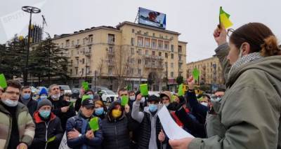 Жители Тбилиси снова протестуют против строительства в парке Ваке - видео