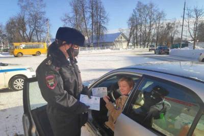 Полицейские в Тверской области напомнили водителям о ремнях