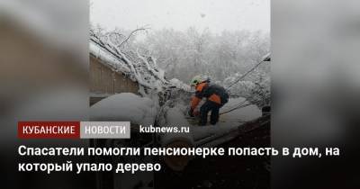 Спасатели помогли пенсионерке попасть в дом, на который упало дерево - kubnews.ru - Сочи - район Белореченский