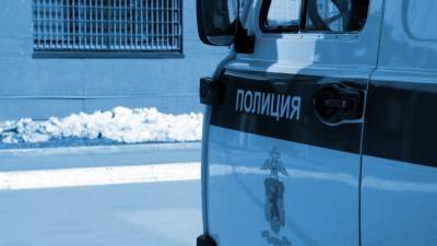 Полиция в Подмосковье схватила подозреваемых в серии убийств