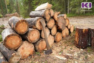 Благодаря новому закону "о дровах" госуслуга станет "прозрачной" и удобной - Вадим Рочев