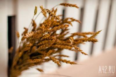 Поставки пшеницы из России за рубеж выросли на 28,5%