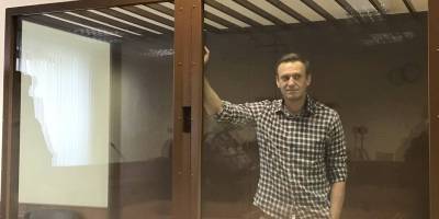 Алексей Навальный перед приговором рассказал, как готовил в мороженое СИЗО – Видео - ТЕЛЕГРАФ