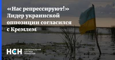 «Нас репрессируют!» Лидер украинской оппозиции согласился с Кремлем