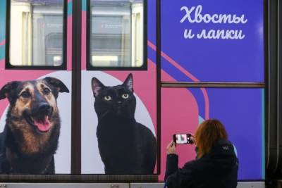 Дептранс запустил конкурс фотографий поезда метро "Хвосты и лапки"
